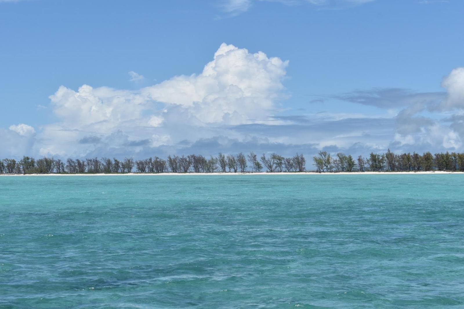 Lily Pad Lodge Bambou Экстерьер фото